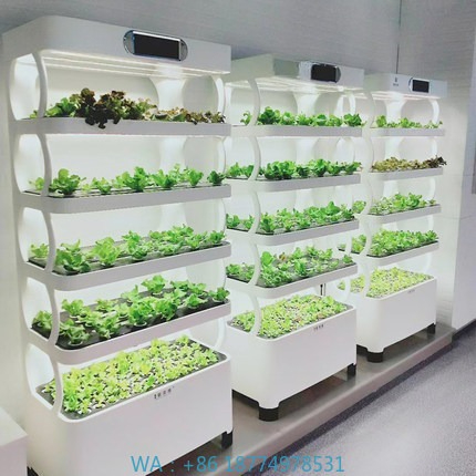 Iydroponic Automated Grow Syst - Home Automation Systems Diy ulasan dan harga