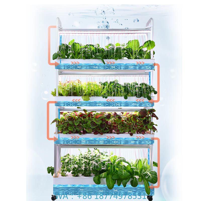 ydroponic Planting System Smar - Home Automation System Diy ulasan dan harga