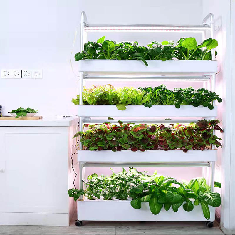 ydroponic Planting System Smar - Home Automation System Diy ulasan dan harga