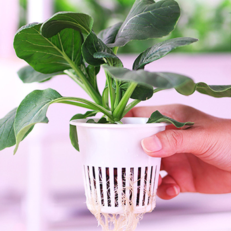 ydroponic Planting System Smar - Home Automation System Diy ulasan dan harga